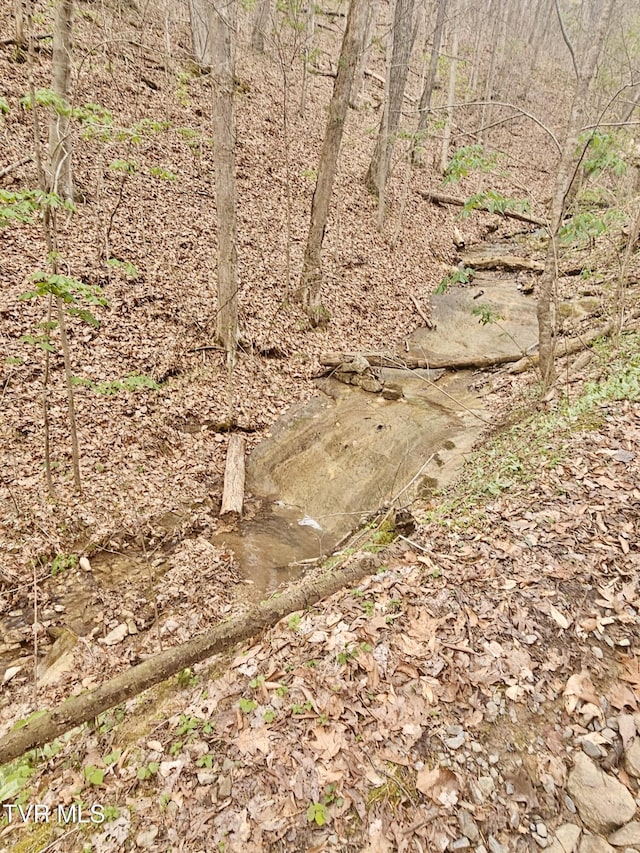 0 Christians Bend Rd, Church Hill, TN 37642