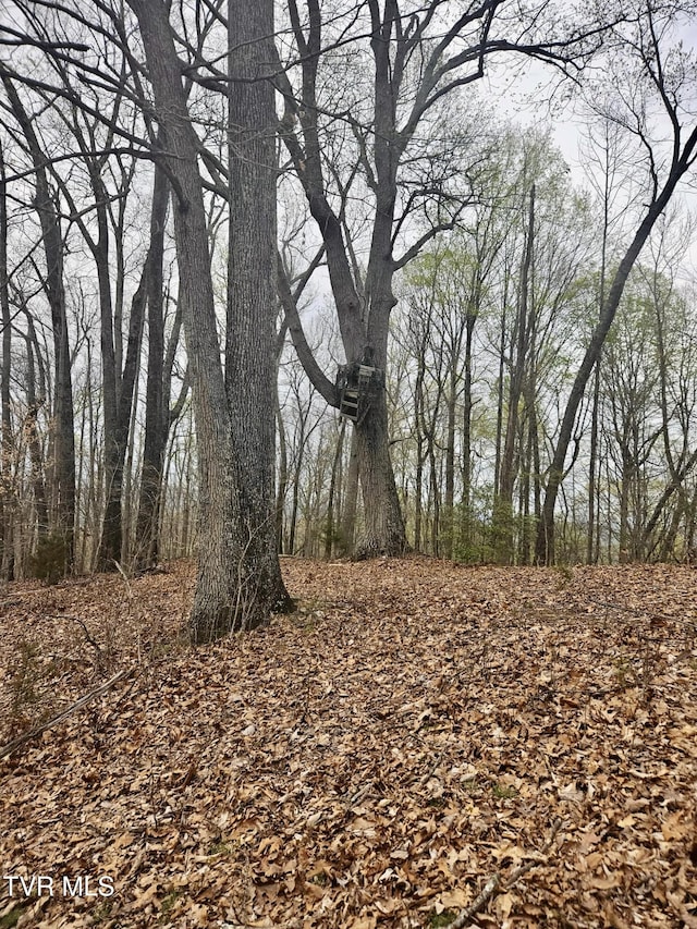 0 Christians Bend Rd, Church Hill, TN 37642