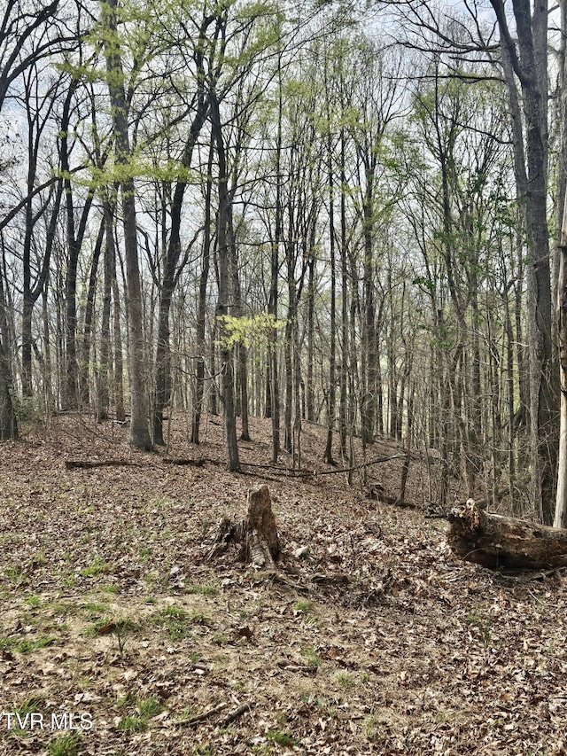 0 Christians Bend Rd, Church Hill, TN 37642