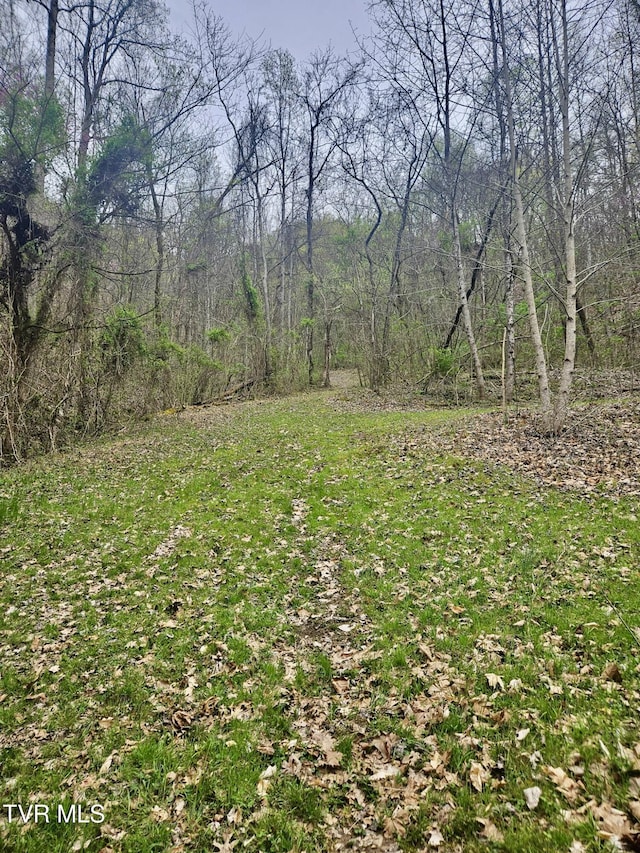 0 Christians Bend Rd, Church Hill, TN 37642