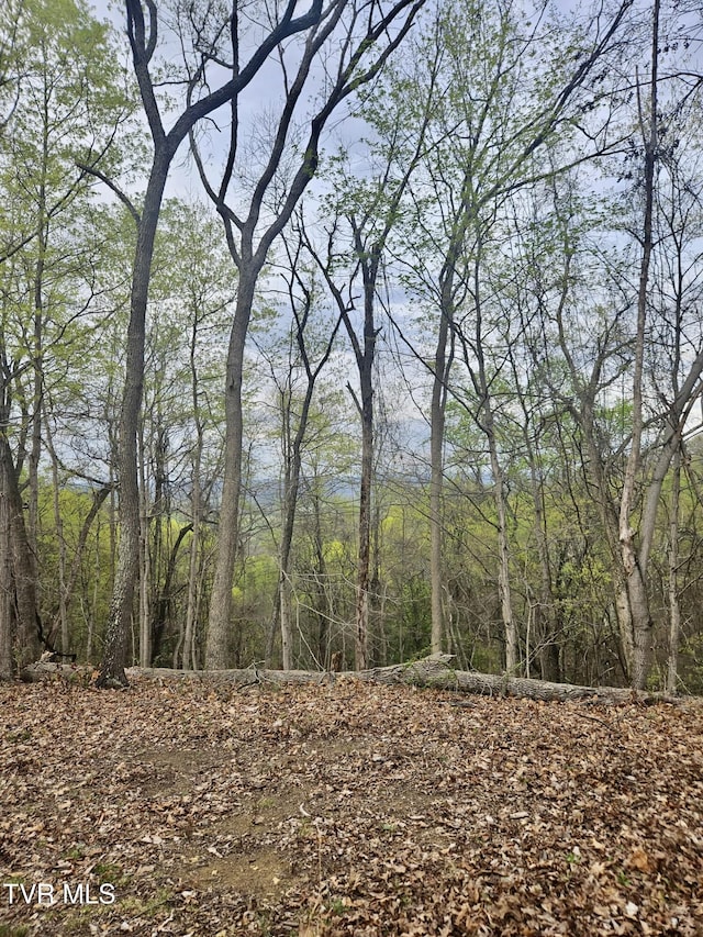 0 Christians Bend Rd, Church Hill, TN 37642