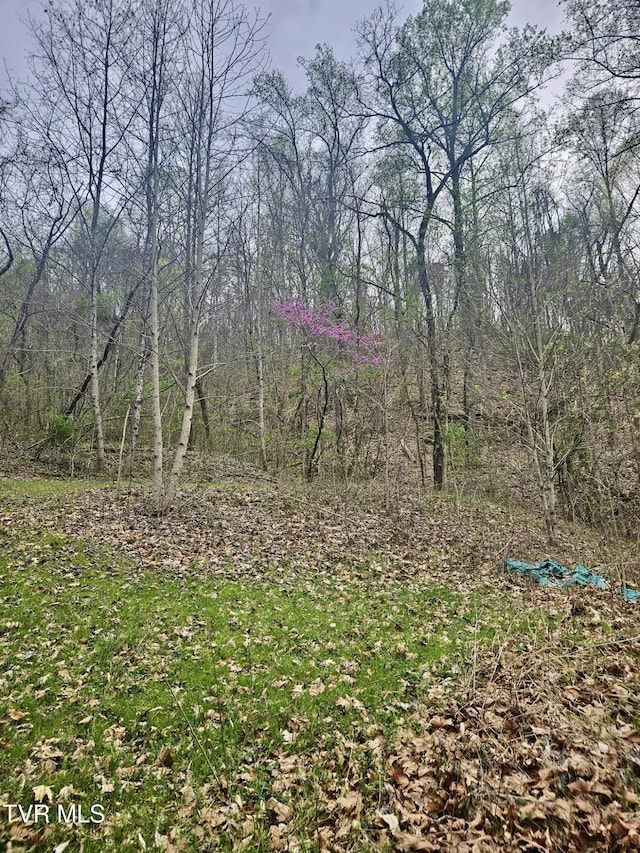 0 Christians Bend Rd, Church Hill, TN 37642