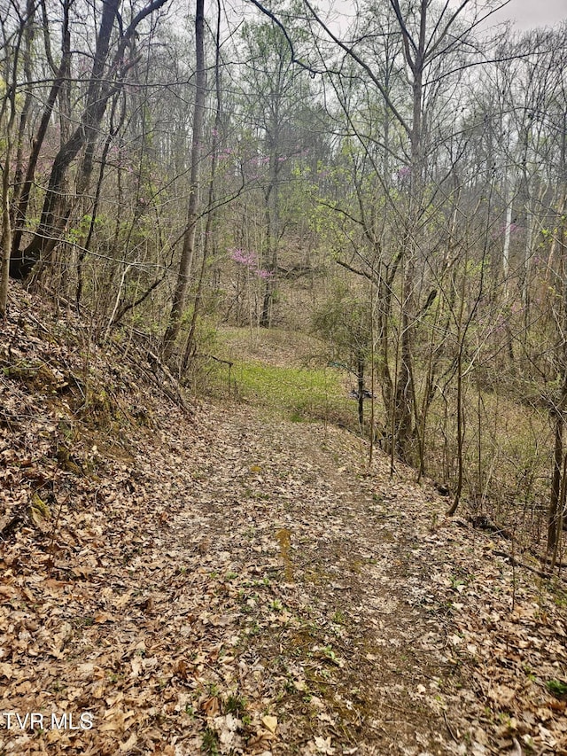 0 Christians Bend Rd, Church Hill, TN 37642