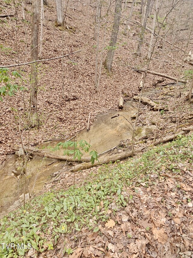 0 Christians Bend Rd, Church Hill, TN 37642