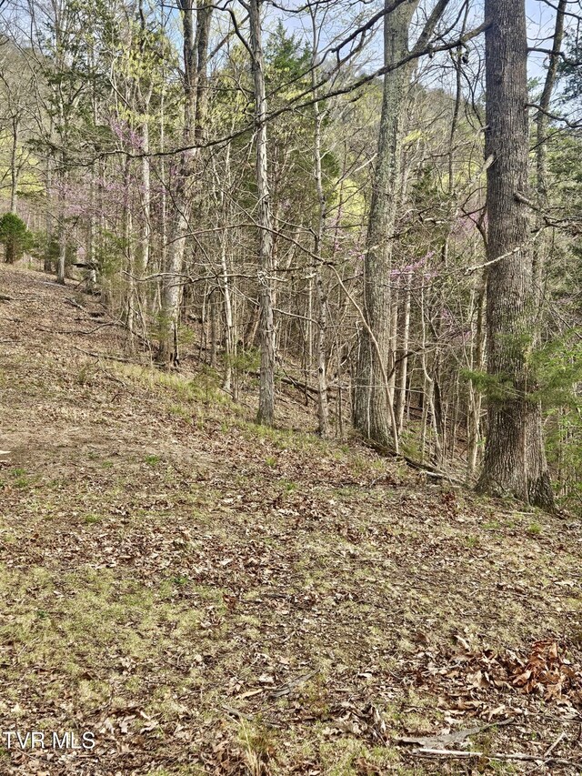 0 Christians Bend Rd, Church Hill, TN 37642