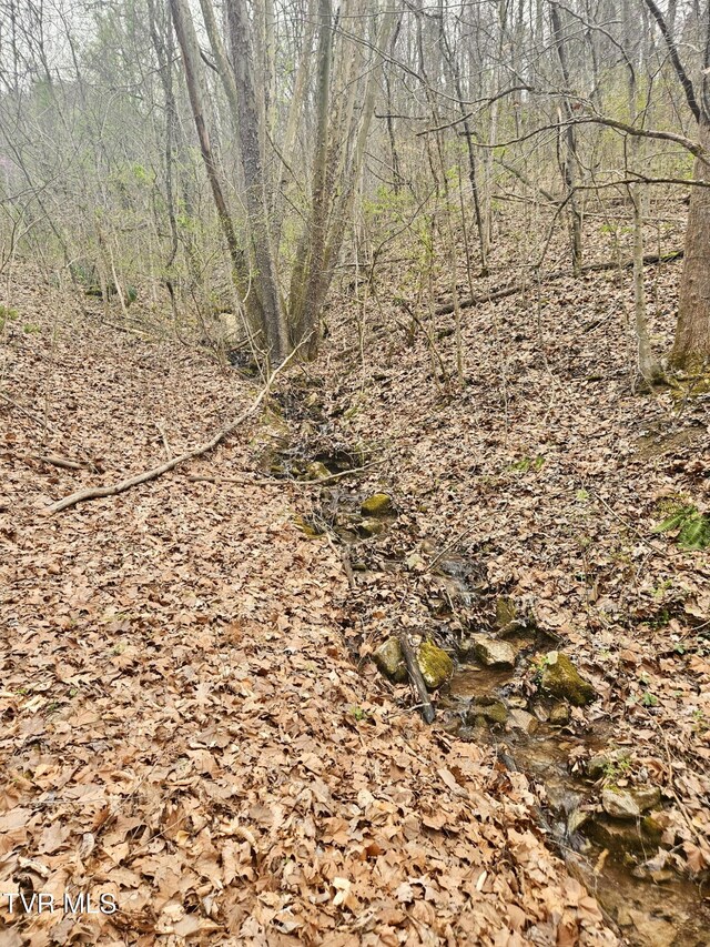 0 Christians Bend Rd, Church Hill, TN 37642