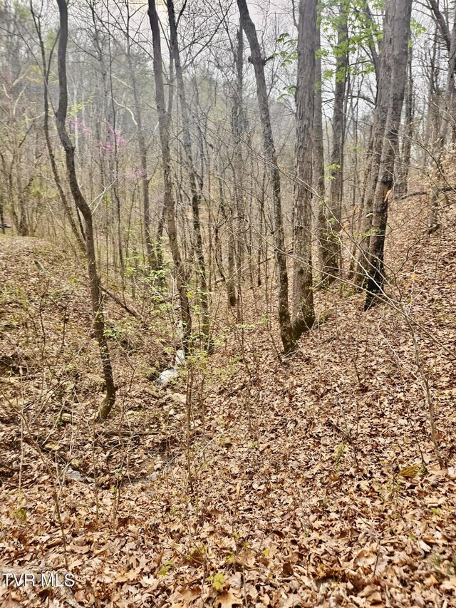 0 Christians Bend Rd, Church Hill, TN 37642