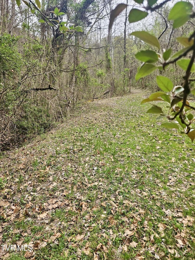 0 Christians Bend Rd, Church Hill, TN 37642