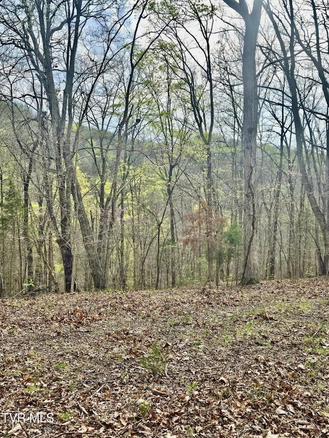0 Christians Bend Rd, Church Hill, TN 37642