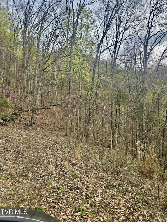 0 Christians Bend Rd, Church Hill, TN 37642