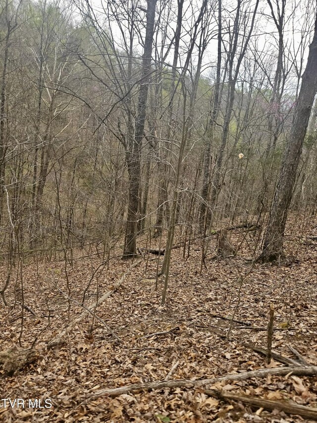 0 Christians Bend Rd, Church Hill, TN 37642
