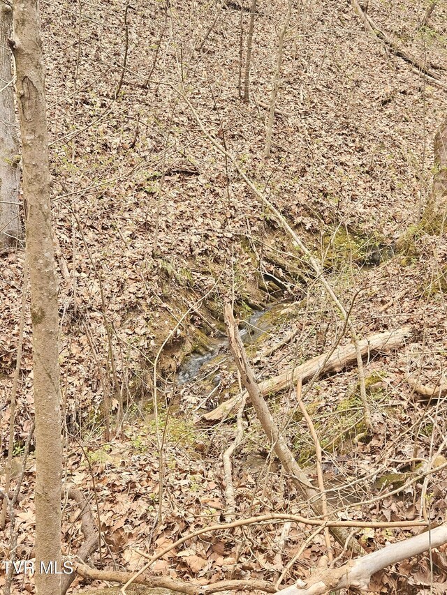 0 Christians Bend Rd, Church Hill, TN 37642