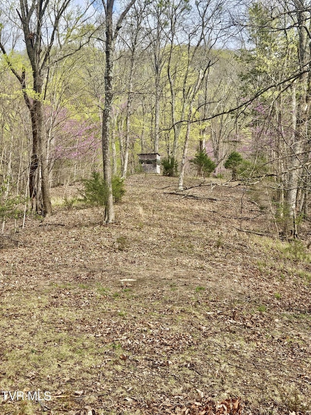0 Christians Bend Rd, Church Hill, TN 37642