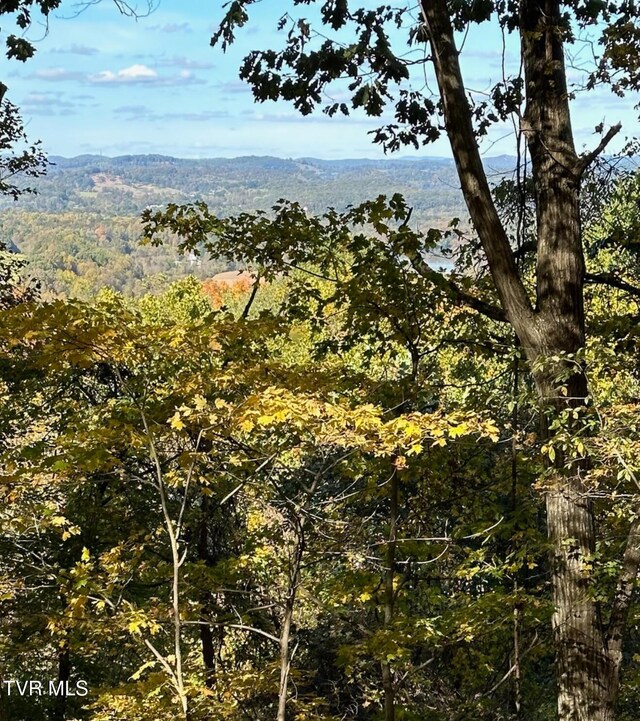 0 Christians Bend Rd, Church Hill, TN 37642