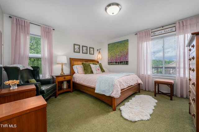 589 Harbor Point Rd, Butler, TN 37640 - view of carpeted bedroom