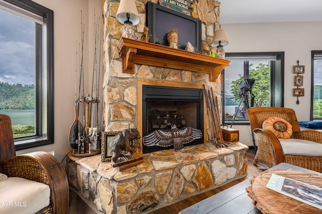 589 Harbor Point Rd, Butler, TN 37640 - living room featuring wood finished floors and a stone fireplace