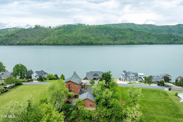 589 Harbor Point Rd, Butler, TN 37640 - aerial view of residential area featuring a large body of water and a forest