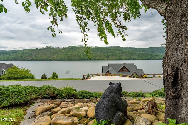 589 Harbor Point Rd, Butler, TN 37640 - water view featuring a forest