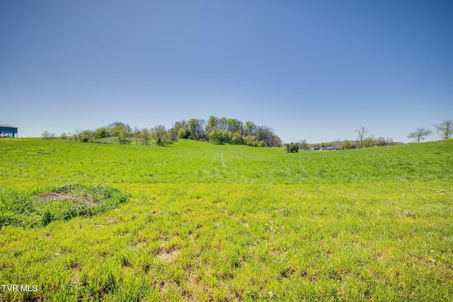 3490 Milburnton Rd, Limestone, TN 37681 - photo 8