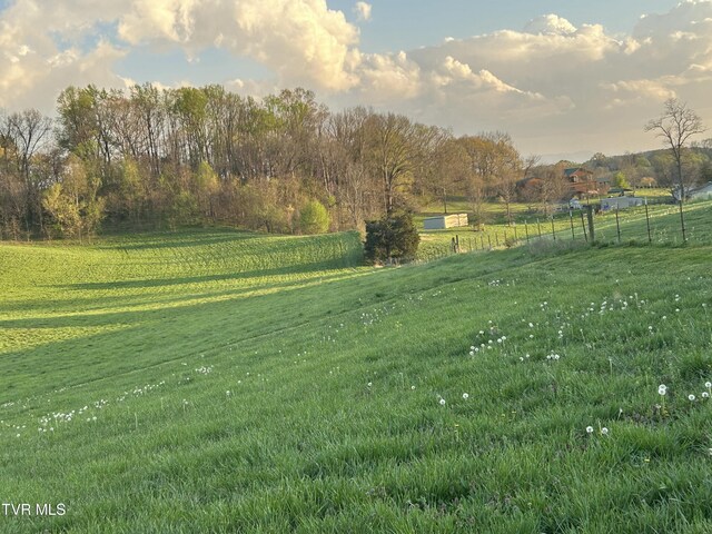 3490 Milburnton Rd, Limestone, TN 37681 - photo 12