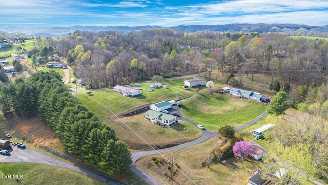 birds eye view of property featuring a wooded view and a mountain view
