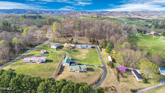 bird's eye view with a view of trees