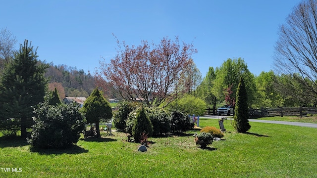 138 J Phillipi Rd, Mountain City, TN 37683 - photo 18