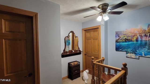 138 J Phillipi Rd, Mountain City, TN 37683 - photo 65