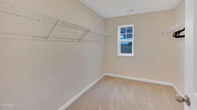 1128 Aspen Ter, Greeneville, TN 37745 - walk in closet with carpet