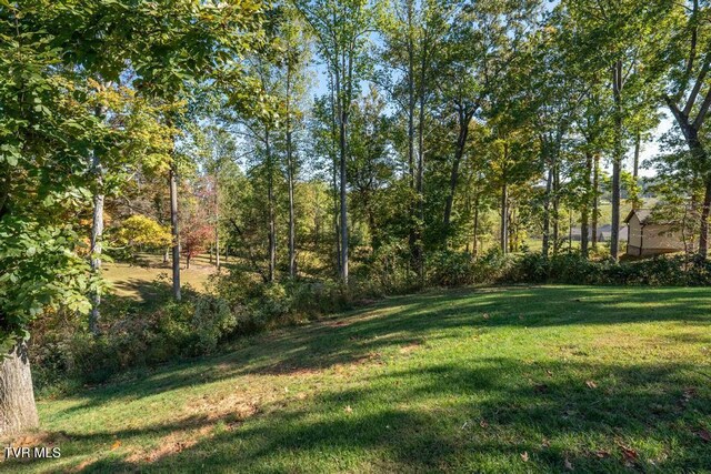 474 Grovemont Pl, Piney Flats, TN 37686 - photo 57