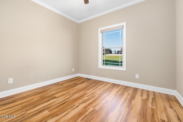 474 Grovemont Pl, Piney Flats, TN 37686 - photo 24
