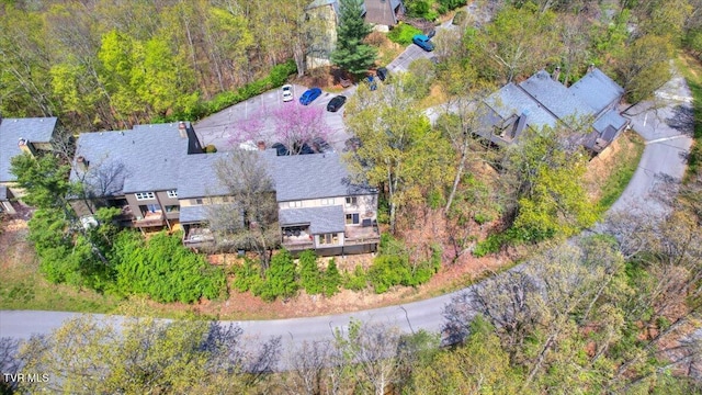 aerial view