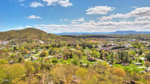 property view of mountains