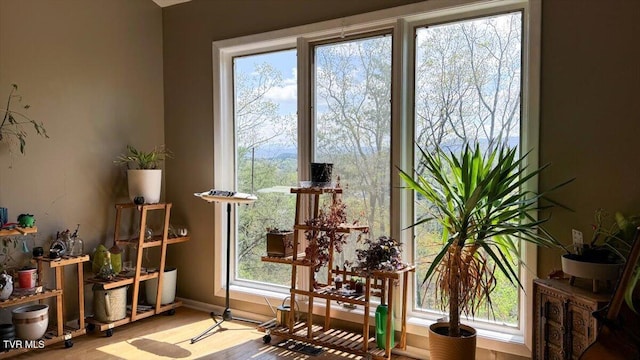 interior space with wood finished floors, baseboards, and a wealth of natural light