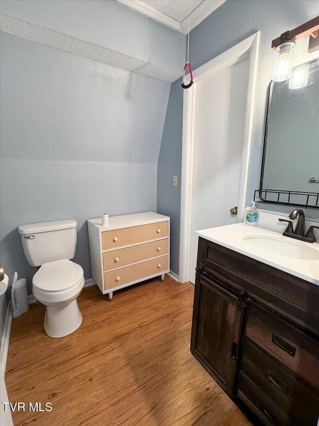 bathroom featuring toilet, wood finished floors, vanity, and vaulted ceiling