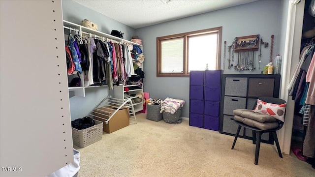 walk in closet with carpet floors
