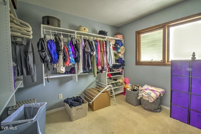 spacious closet featuring carpet