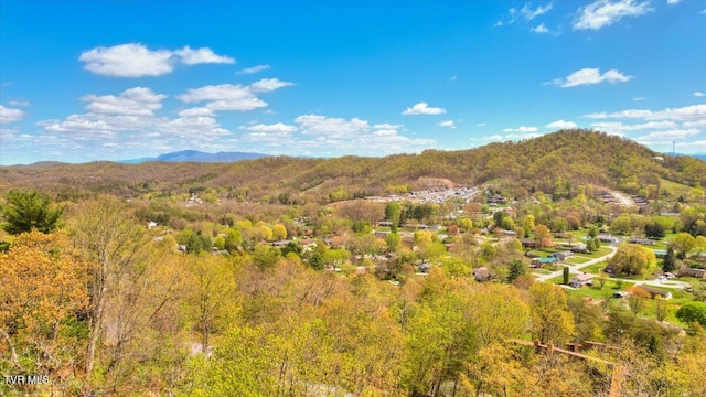property view of mountains with a view of trees
