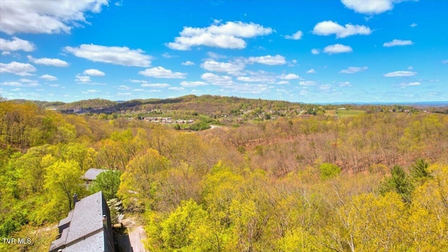 bird's eye view with a view of trees