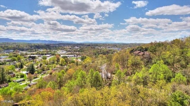 birds eye view of property with a wooded view and a mountain view