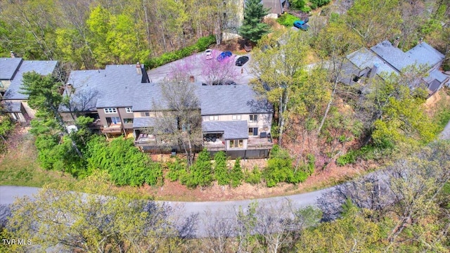 bird's eye view
