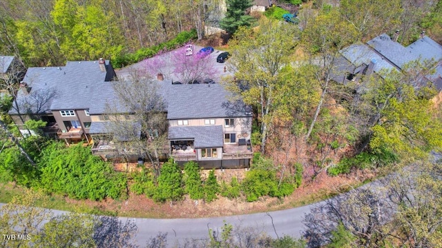 bird's eye view