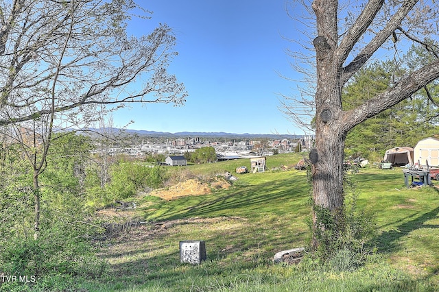 view of yard featuring a mountain view