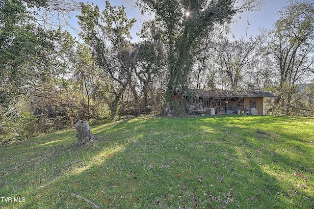 view of yard