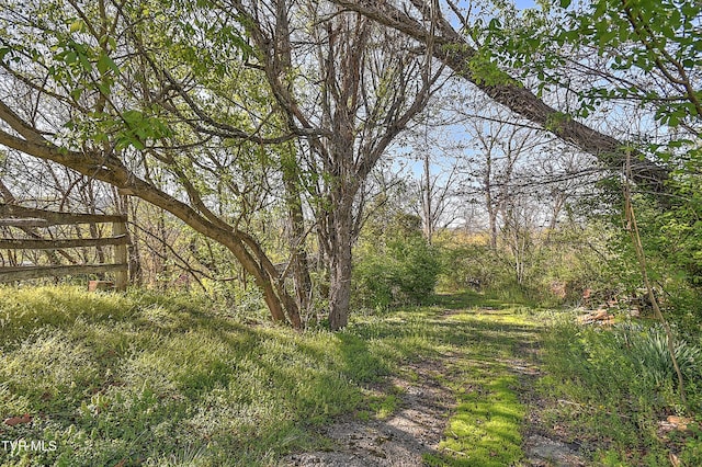 view of local wilderness with a view of trees