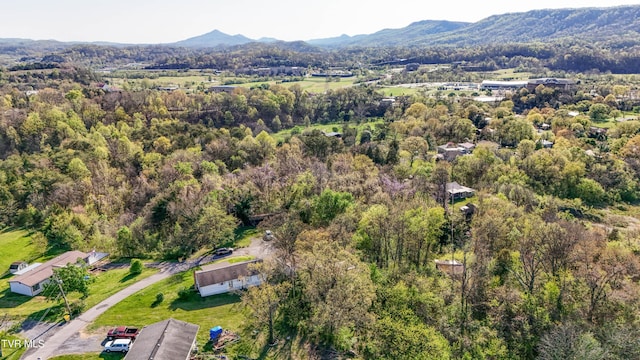 bird's eye view with a mountain view and a forest view