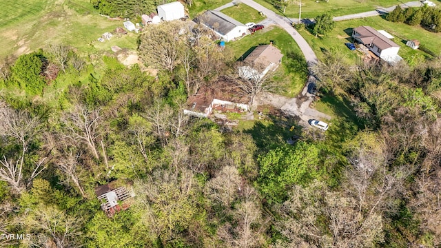 drone / aerial view
