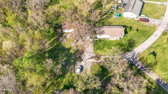 bird's eye view
