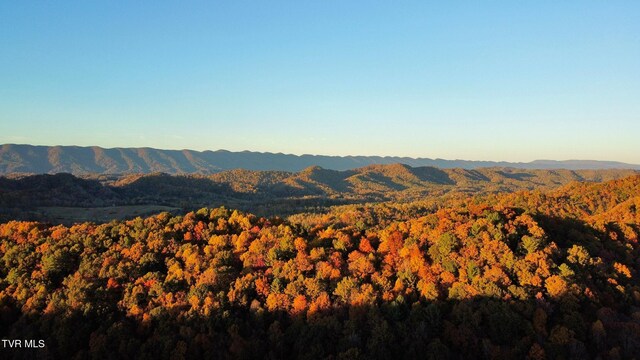 TBD Shelleys Rd, Bristol, VA 24202