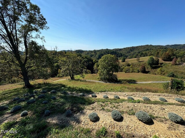 TBD Shelleys Rd, Bristol, VA 24202